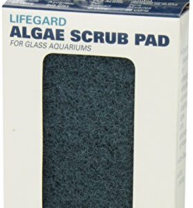 Lifegard Aquatics 4-Inch by 6-Inch Blue Algae Pad,Black