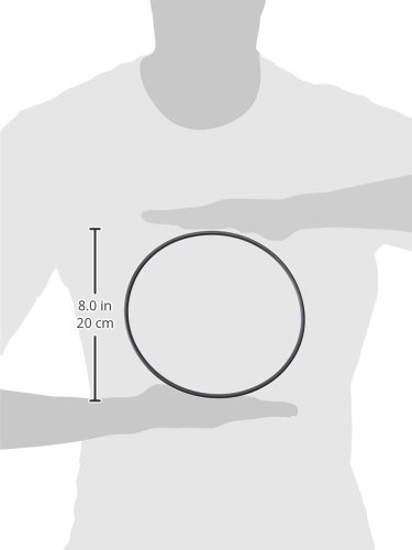 Fluval Motor Seal Ring Gasket for Canister Filters, Aquarium Filter Replacement Part, A20063