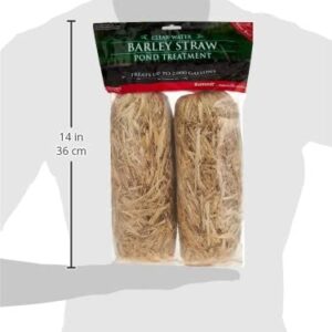 Summit 130 Clear-water Barley Straw Bales, 2-Pack