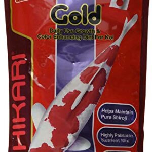 Hikari Usa Inc AHK02342 Gold 17.6-Ounce, Medium