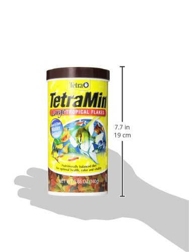 Tetra 16155 Min Large Tropical Flakes For Top/Mid Feeders, 5.65-Ounce