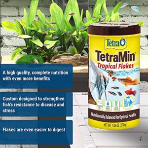 Tetra 16106 Min Tropical Flakes, Nutritionally Balanced Fish Food, 7.06-Ounce