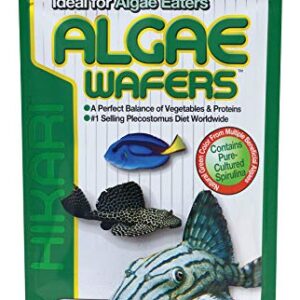 Hikari Usa Inc AHK21328 tropical Algae Wafer 8.8-Ounce