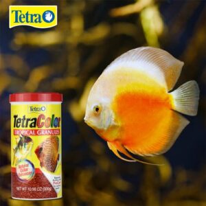 TetraColor Tropical Granules, Clear Water Advanced Formula 10.58 Ounce (Pack of 1)