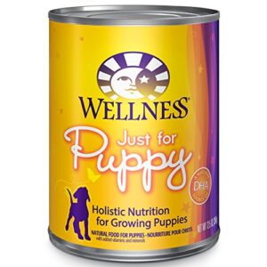 wellness complete health natural wet canned puppy food, puppy chicken & salmon 12.5-ounce can (pack of 12)