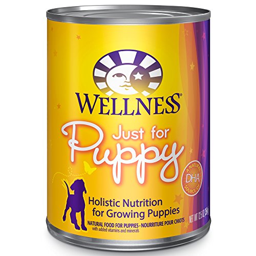 Wellness Complete Health Natural Wet Canned Puppy Food, Puppy Chicken & Salmon 12.5-Ounce Can (Pack of 12)