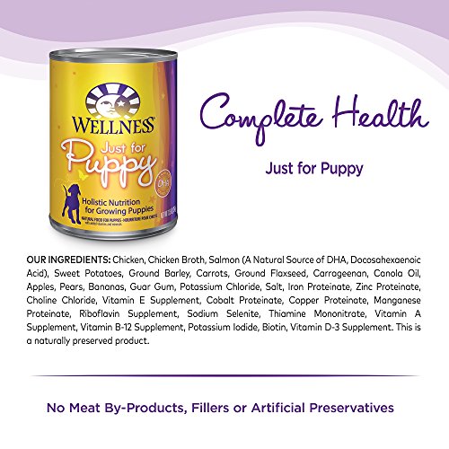 Wellness Complete Health Natural Wet Canned Puppy Food, Puppy Chicken & Salmon 12.5-Ounce Can (Pack of 12)