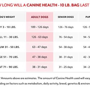 Dr. Harvey's Canine Health Miracle Dog Food, Human Grade Dehydrated Base Mix for Dogs with Organic Whole Grains and Vegetables (10 Pounds)