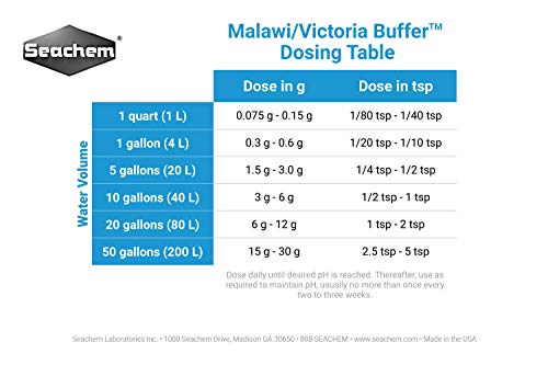 Malawi/Victoria Buffer, 1.2 kg / 2.6 lbs