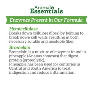 Animal Essentials Plant Enzyme & Probiotics Digestive Supplement for Dogs & Cats, 10.6 oz - Digestion Support
