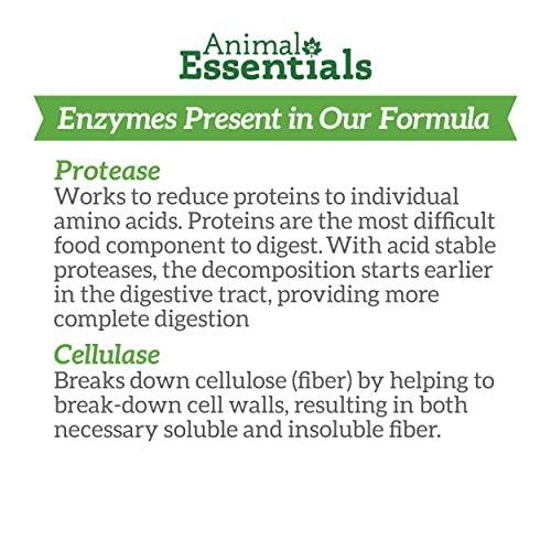 Animal Essentials Plant Enzyme & Probiotics Digestive Supplement for Dogs & Cats, 10.6 oz - Digestion Support