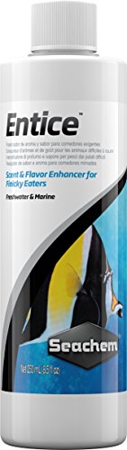 Seachem Entice- Natural Scent & Flavor Enhancer for Fish Food, Marine & Freshwater Aquariums 250ml