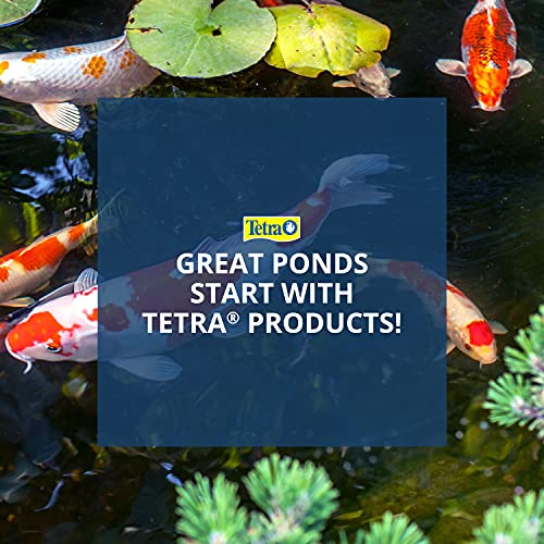 TetraPond Pond Sticks, Pond Fish Food, for Goldfish and Koi, 1.72 Pounds