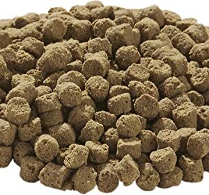 TetraFauna Hermit Crab Cakes 1.58 Ounces, Food Pellets For All Land Crabs, 100ml (16976)