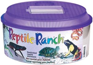 lee's reptile ranch, round w/lid