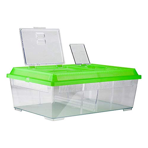 Lee's Reptile Ranch, Large, Rectangle with Lid, Colors may Vary