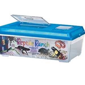 Lee's Reptile Ranch, Large, Rectangle with Lid, Colors may Vary