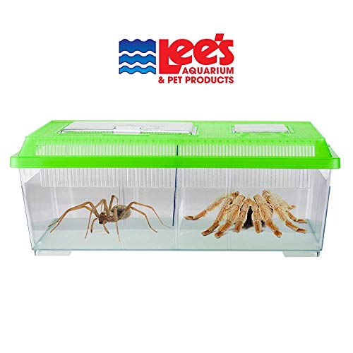 Lee's Reptile Ranch, Large, Rectangle with Lid, Colors may Vary