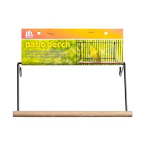 prevue pet perch small patio perch bird ladder, 8"