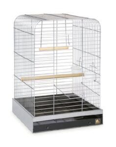 prevue pet products 125c parrot cage, chrome,1"