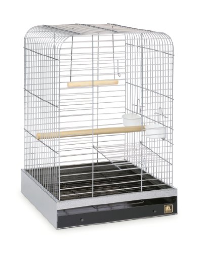 Prevue Pet Products 125C Parrot Cage, Chrome,1"