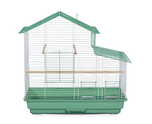 Prevue Pet Products SP41615-2 House Style Bird Cage, Small, Green