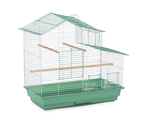 Prevue Pet Products SP41615-2 House Style Bird Cage, Small, Green