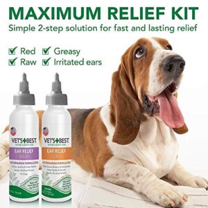 Vet's Best Dog Ear Cleaner Kit | Multi-Symptom Ear Relief | Wash & Dry Treatment | Alcohol-Free 4 Fl Oz (Pack of 2)