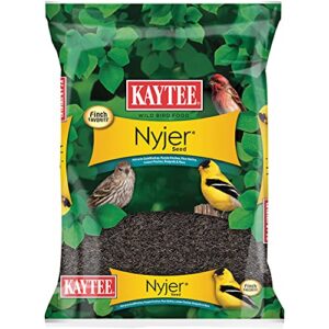 kaytee nyjer wild bird food seed, 3 pound