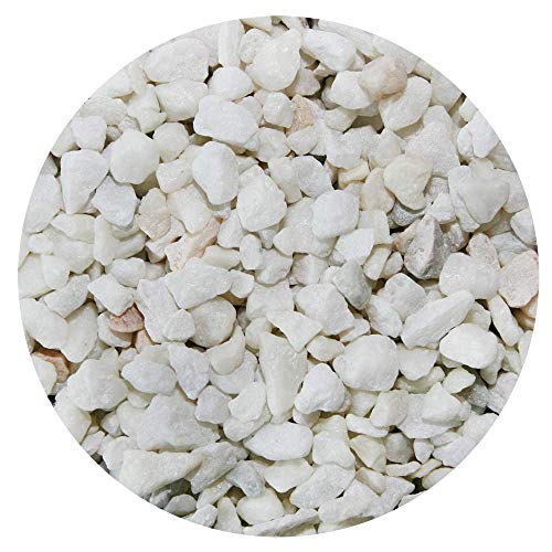 Spectrastone Special White Aquarium Gravel for Freshwater Aquariums, 5-Pound Bag