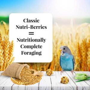 LAFEBER'S Classic Nutri-Berries Pet Bird Food, Made with Non-GMO and Human-Grade Ingredients, for Parakeets (Budgies), 4 lb