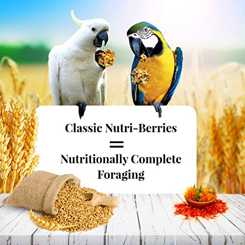 Lafeber's Classic Nutri-Berries for Macaw / Cockatoo 3.5 lb. Tub