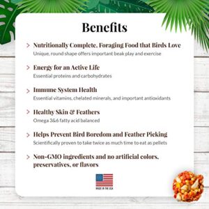 LAFEBER'S Tropical Fruit Nutri-Berries Pet Bird Food, Made with Non-GMO and Human-Grade Ingredients, for Macaws and Cockatoos, 10 oz