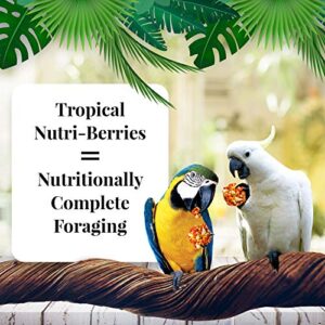 LAFEBER'S Tropical Fruit Nutri-Berries Pet Bird Food, Made with Non-GMO and Human-Grade Ingredients, for Macaws and Cockatoos, 10 oz