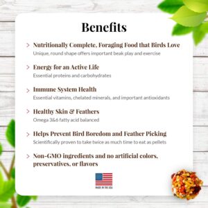 LAFEBER'S Sunny Orchard Nutri-Berries Pet Bird Food, Made with Non-GMO and Human-Grade Ingredients, for Cockatiels Conures Parakeets (Budgies) Lovebirds (Sunny Orchard 10 oz)