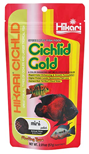 Hikari Cichlid Gold Floating Pellets Fish Food, Mini Pellets, 2 oz. (57g)