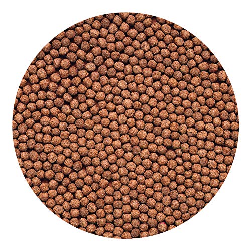 Hikari Cichlid Gold Floating Pellets Fish Food, Mini Pellets, 2 oz. (57g)