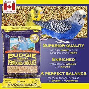 Parakeet/Budgie Staple Vme Seed, 6-Pound