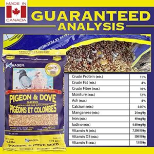 Hagen Pigeon & Dove Seed, Nutritionally Complete Bird Food, original version, 6 Pound (Pack of 1) (B2704)