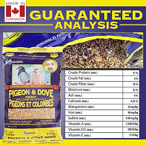 Hagen Pigeon & Dove Seed, Nutritionally Complete Bird Food, original version, 6 Pound (Pack of 1) (B2704)