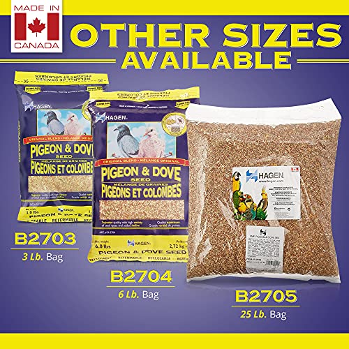 Hagen Pigeon & Dove Seed, Nutritionally Complete Bird Food, original version, 6 Pound (Pack of 1) (B2704)