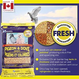 Hagen Pigeon & Dove Seed, Nutritionally Complete Bird Food, original version, 6 Pound (Pack of 1) (B2704)