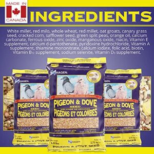 Hagen Pigeon & Dove Seed, Nutritionally Complete Bird Food, original version, 6 Pound (Pack of 1) (B2704)