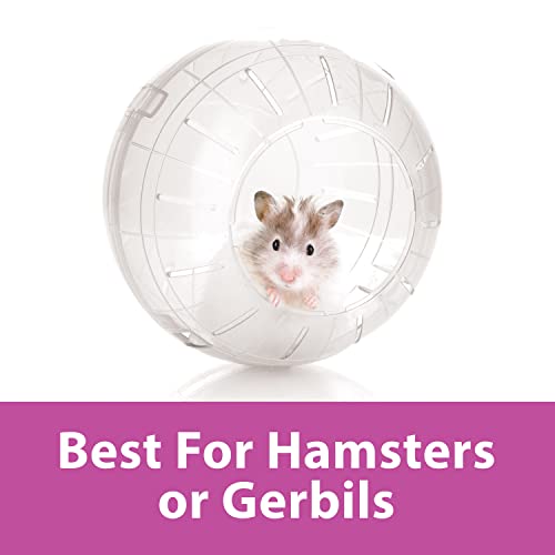 Kaytee 7" Clear Run-About Exercise Ball For Pet Hamsters & Gerbils