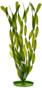 marina aquascaper jungle vallisneria plant, 15-inch