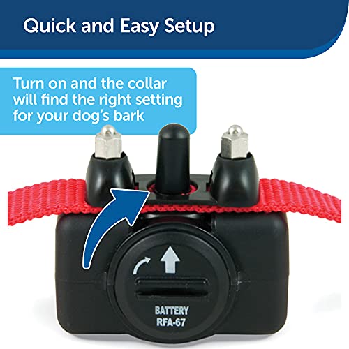 PetSafe Basic Bark Control Collar for Dogs 8 lb. and Up, Anti-Bark Training Device, Waterproof, Static Correction, Canine - Automatic Dog Training Collar to Decrease Barking, PBC-102