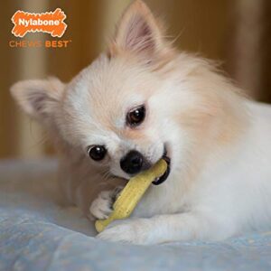 Nylabone FlexiChew Bone Dog Chew Toys Flexi Chicken X-Small/Petite (1 Count)