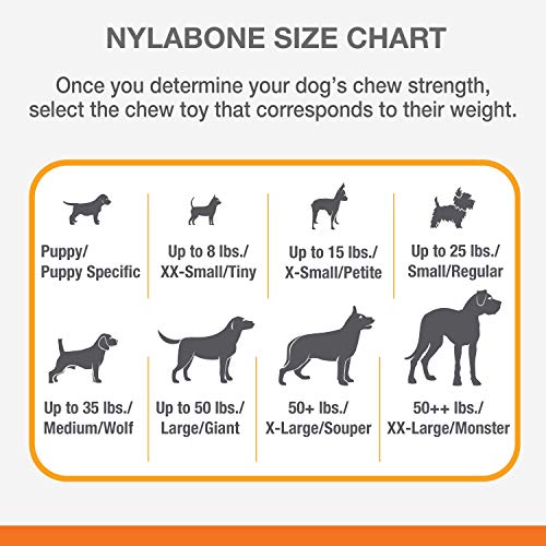 Nylabone FlexiChew Bone Dog Chew Toys Flexi Chicken X-Small/Petite (1 Count)