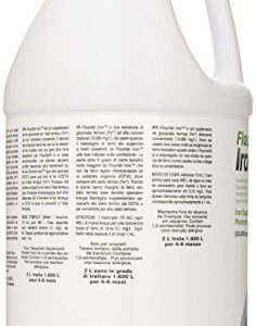 Flourish Iron, 2 L / 67.6 fl. oz.