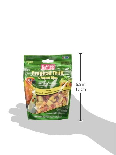 Kaytee Treat Yogurt Dip Tropical Bird Treat